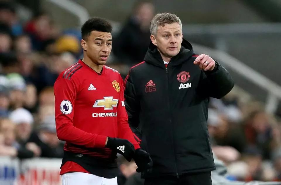 仅充满了悬 仅充满了悬